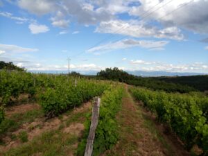 img 20201002 wa0004